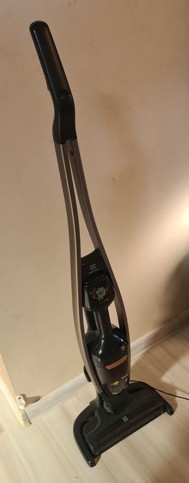 Odkurzacz pionowy Electrolux PQ91-40GG