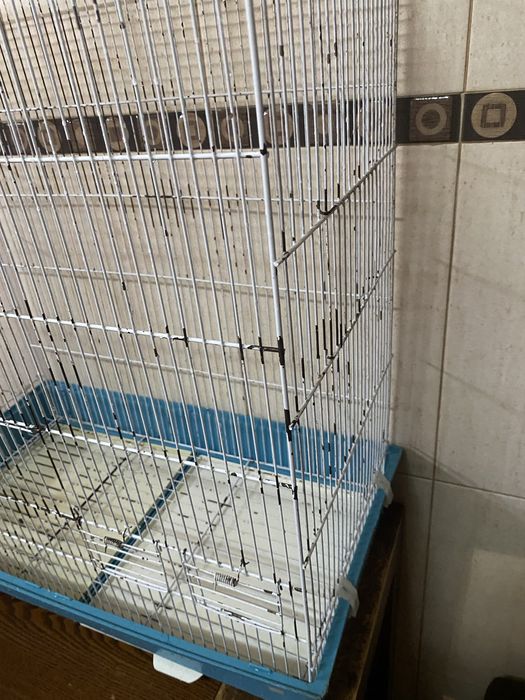 Gaiola  viveiro usado