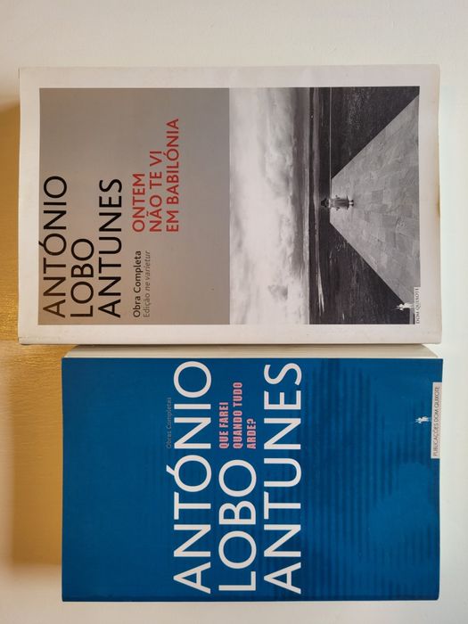 Lobo Antunes Ontem Não te vi em Babilónia,  Que Farei Quando Tudo Arde