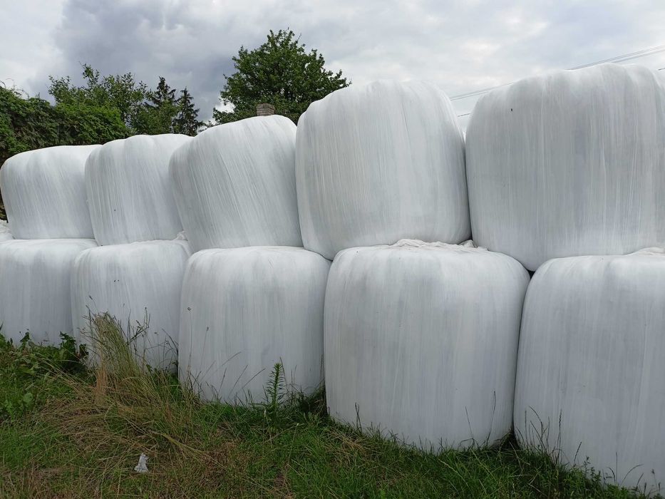 Sprzedam bele sianokiszonki