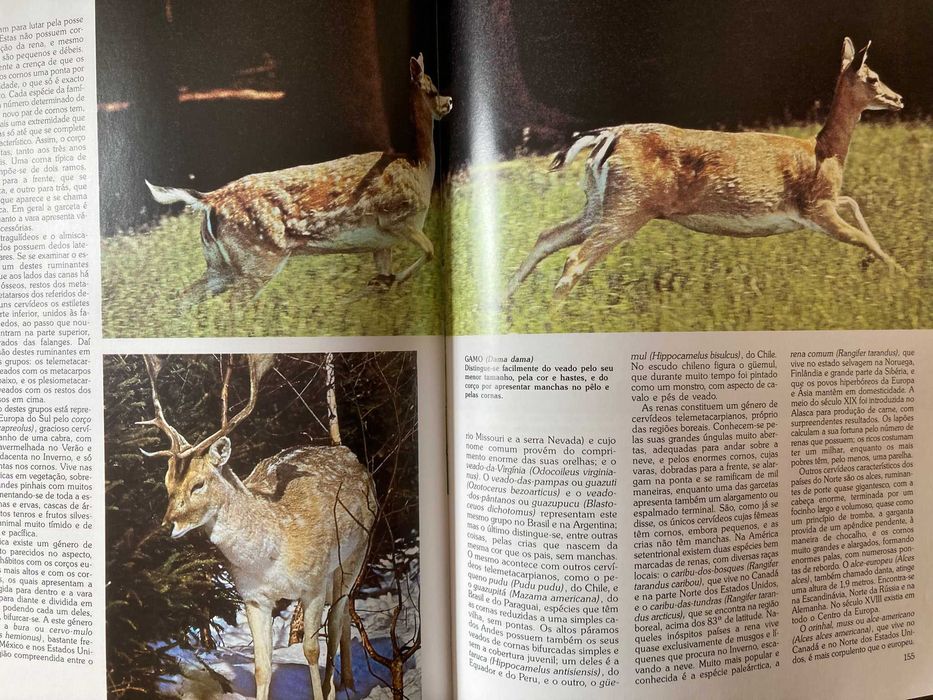 História Natural - Volumes 1 a 6