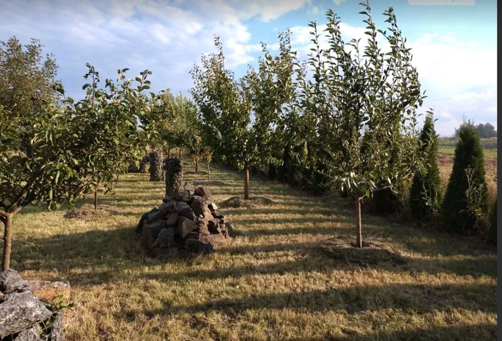 Продаж чудового будинку в затишній локації!