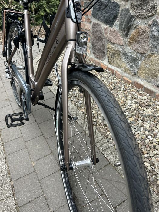 Rower Gazelle Chamonix Trekking