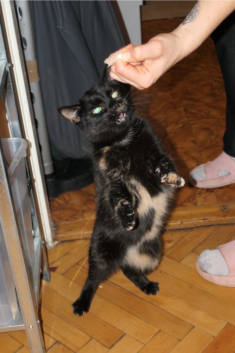 Panasonix Lumix DMC-TZ70 cyfrowy aparat kompaktowy świetny stan