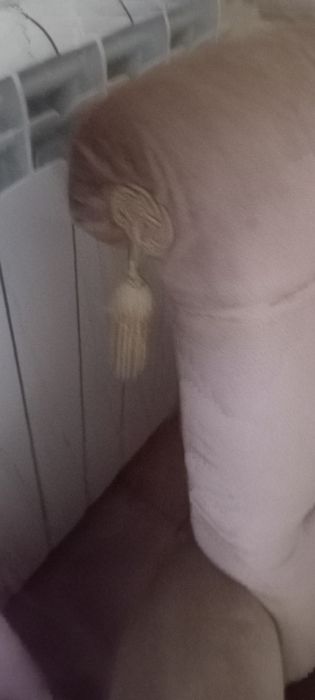 Senhorinha camel