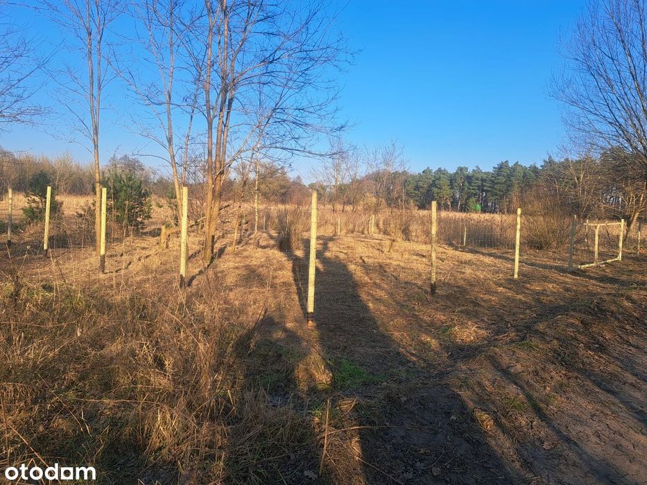 Duża działka leśna/Natura 2000