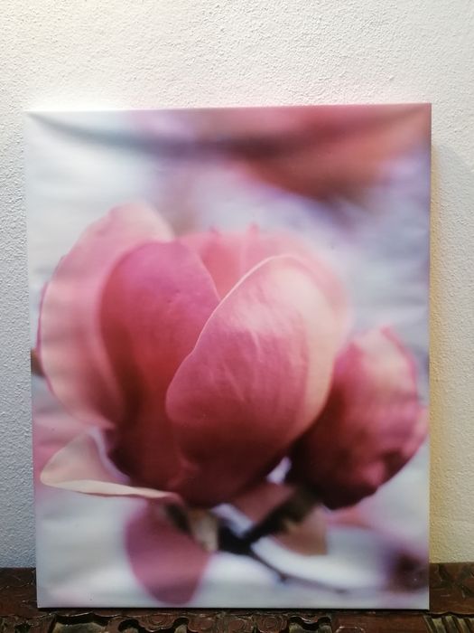 Quadro com flor rosa