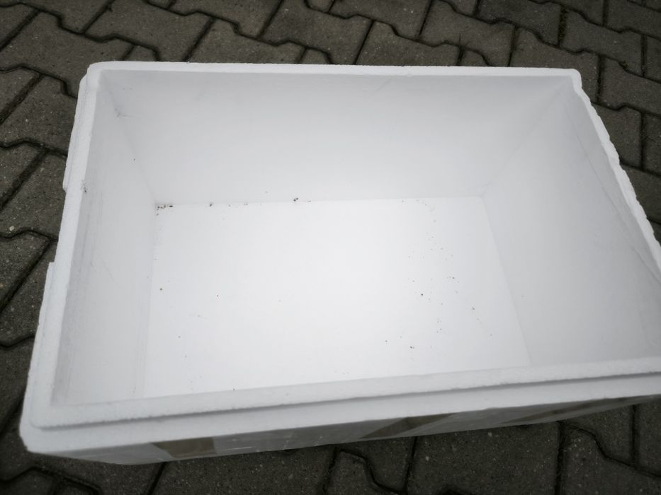 Styrobox 60x40x30 box styropian suchy lód transport przewóz zwierząt