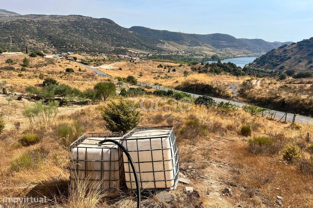 Terreno Panorâmico 11.745 m² no Douro - em Trás-os-Montes
