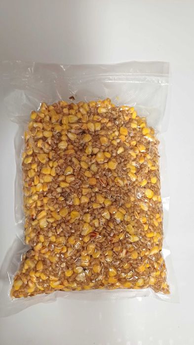Fetmentowana kukurydza