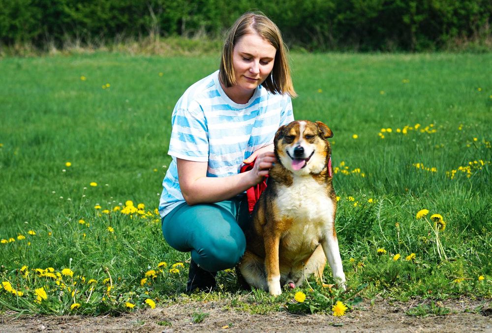 FLOG - fajny, łagodny piesek