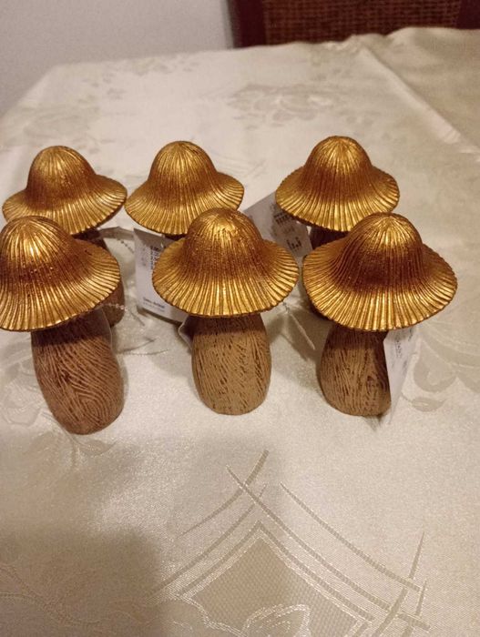 Grzybki ze złotymi kapeluszami