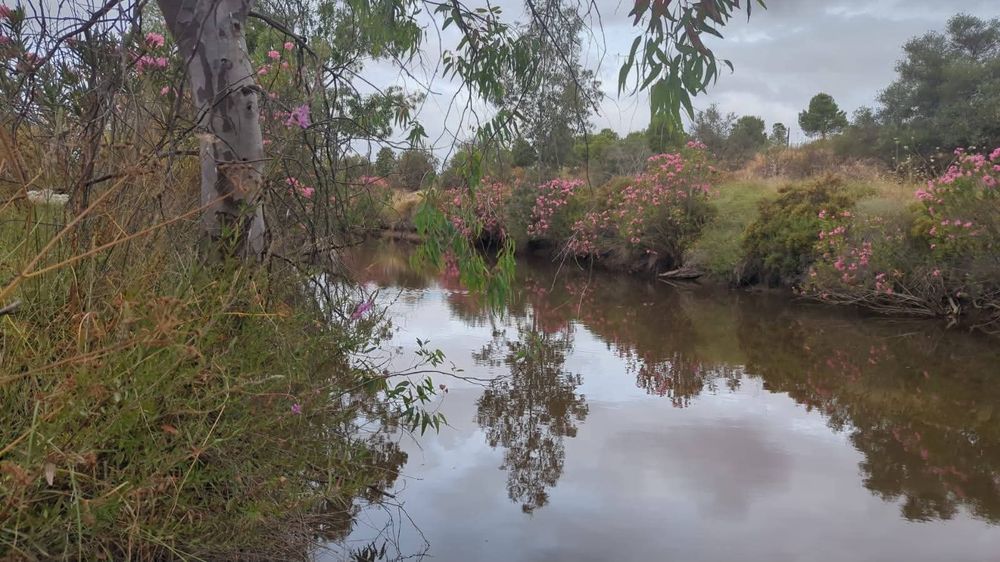 Herdade barragens poço furo ribeira monte olival cortiça gado turismo etc só com o próprio