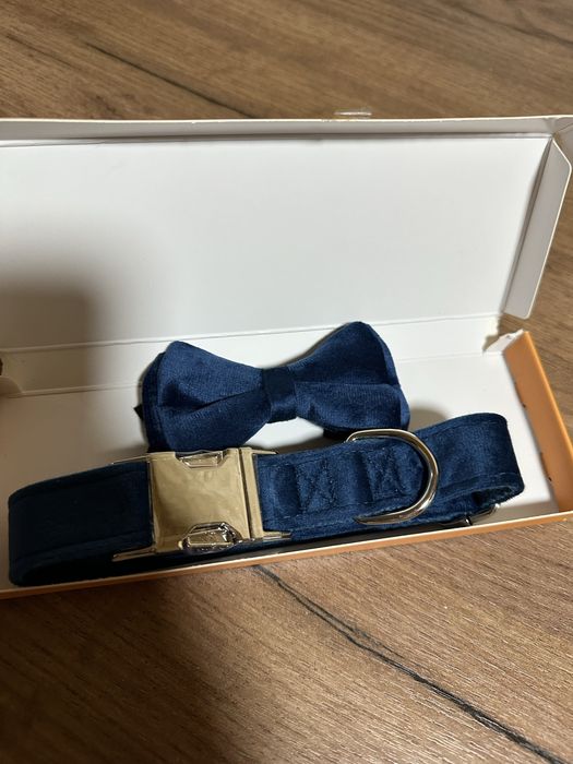 Нашийник і бабочка для собак