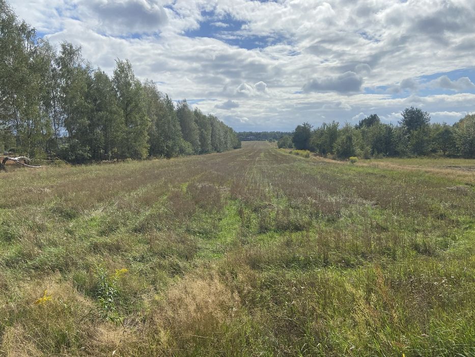 Dzialka rolna 3,3 h - Widok 2