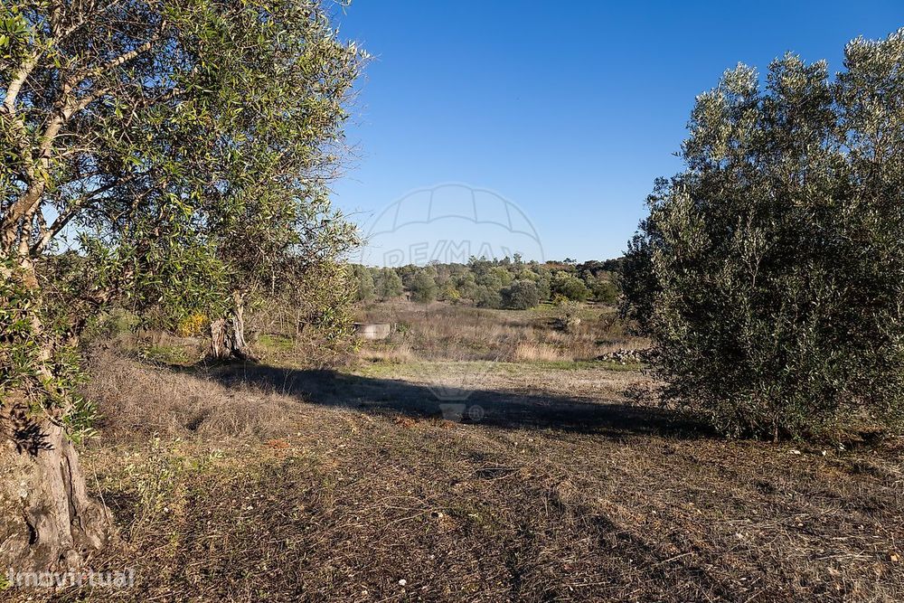 Terreno  para venda