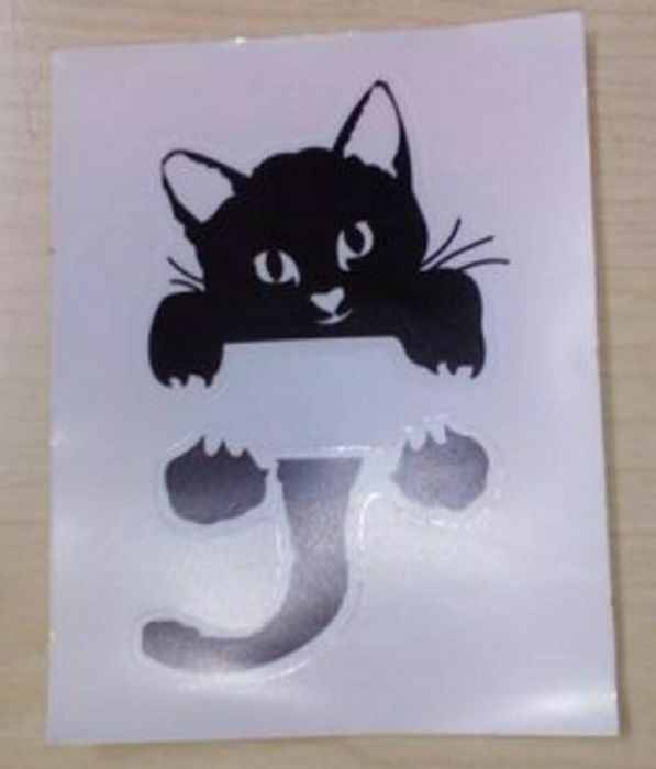 Gato pendurado no interruptor.