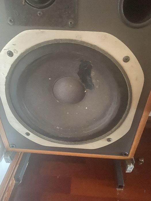 Colunas Revox BR 530