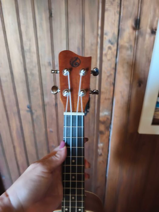Vendo Ukulele com 2 meses