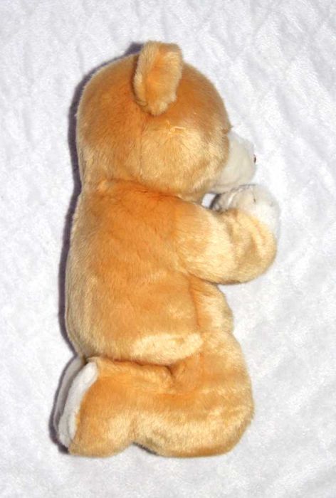 Ty beanie babies baby bear HOPE miś modlący się módl misiu teddy