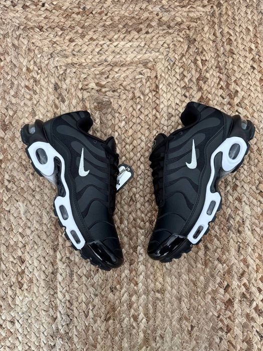 Кросівки чоловічі Nike TN