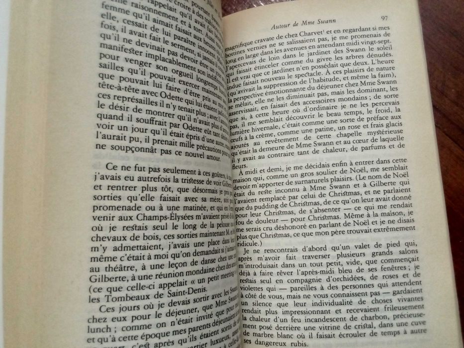 Proust - A l'ombre des jeunes filles en fleurs