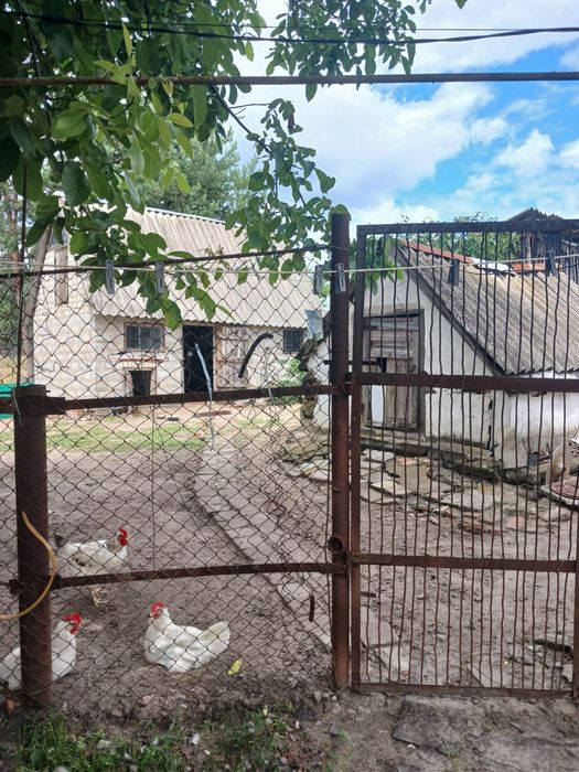 Продається будинок с. Маховік , Берестиньского району ( Красноград)