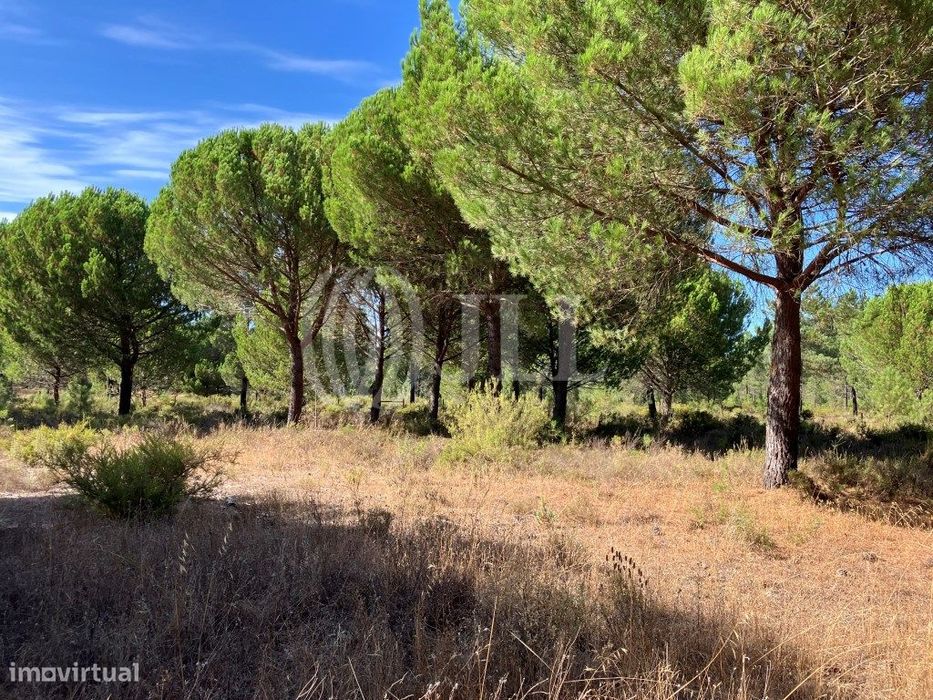 Terreno no Muda Reserve, Comporta