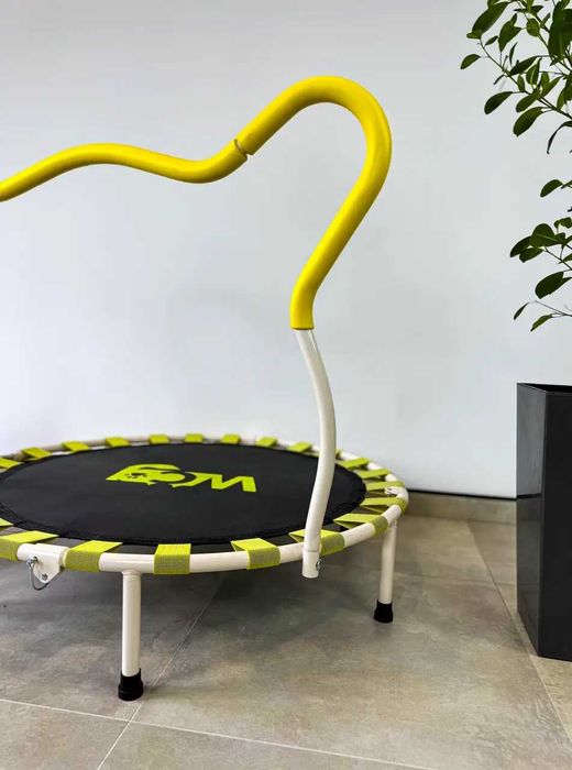 Дитячий Батут з ручкою WCG Koala 1003