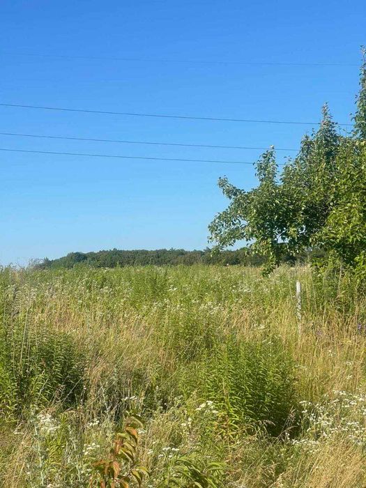 Продам земельну ділянку с.Порозове (0.15 га)