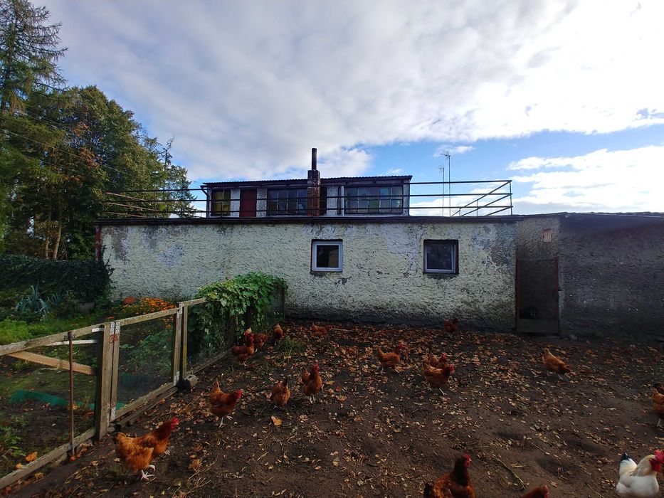 Gospodarstwo rolne 7,5 ha z budynkami - Widok 3