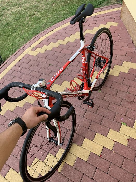 Rower szosowy Focus Cayo Evo 5.0