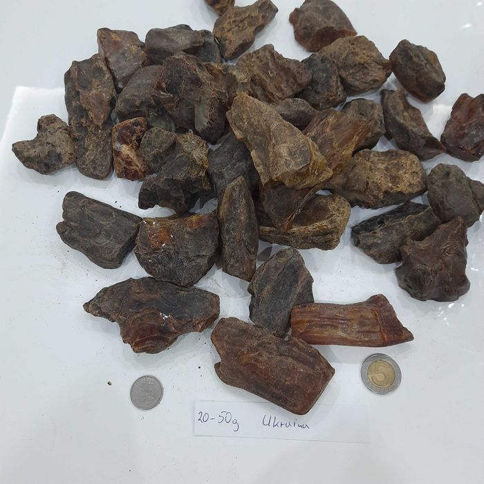 Bursztyn  Ukraiński 20-50g sklejka
