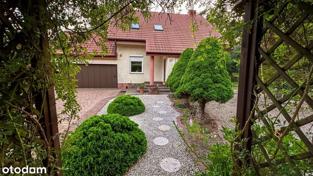 Dom – Michałów-Reginów - Widok 4