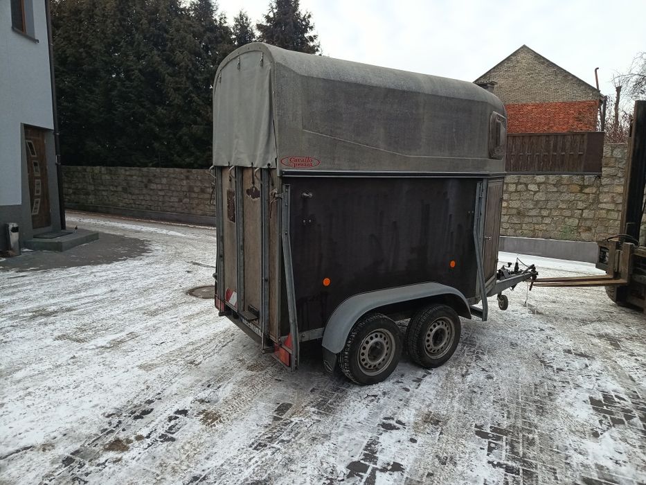 Przyczepa do przewozu koni  zwierząt  Bockmann Kat B  dmc 1300