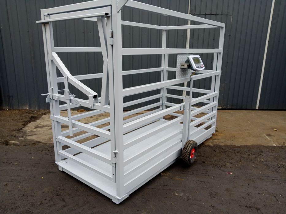 Poskrom z waga do bydła koni waga inwentarzowa