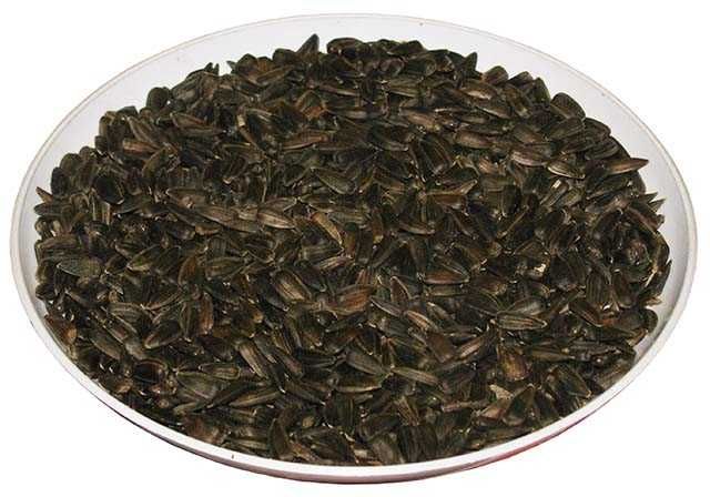 Słonecznik czarny nasiona worek 20kg pokarm dla ptaków wysyłka