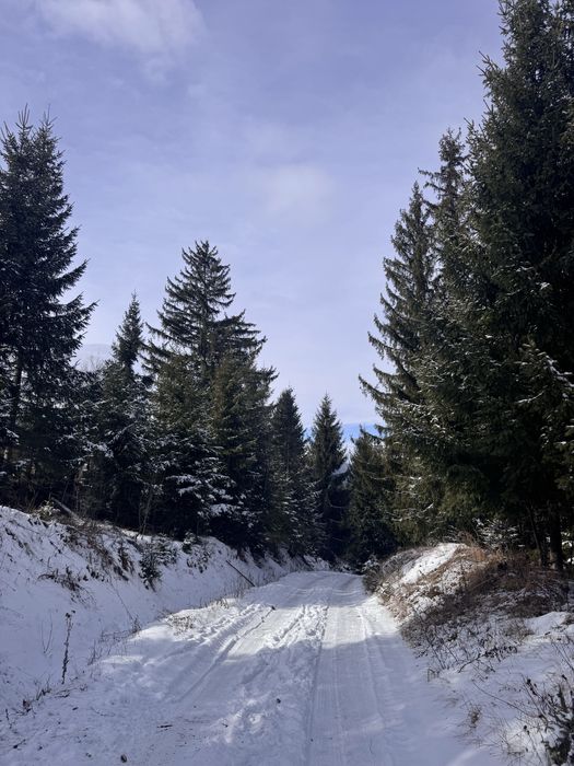 Продам ділянку в Карпатах з доїздом легковим авто с. Ільці