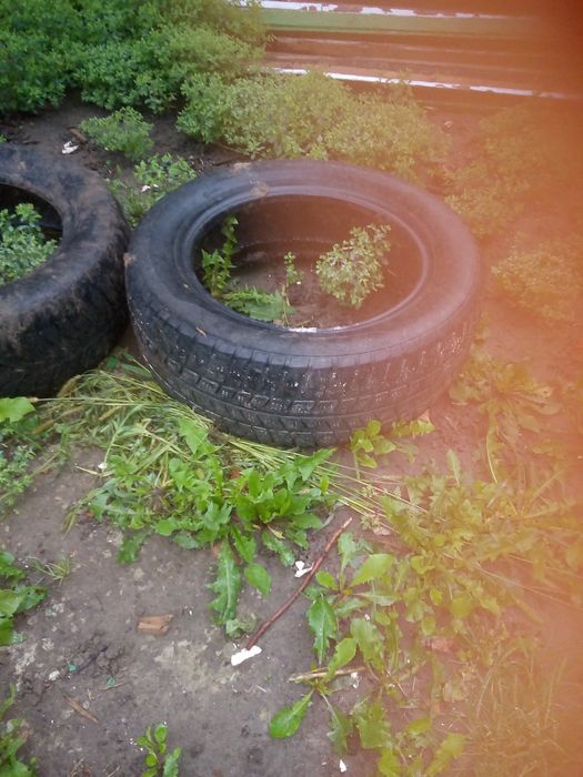 Скаты от машины безплатно латно