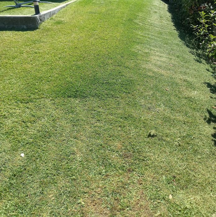 Manutenção de jardins e limpeza de terrenos