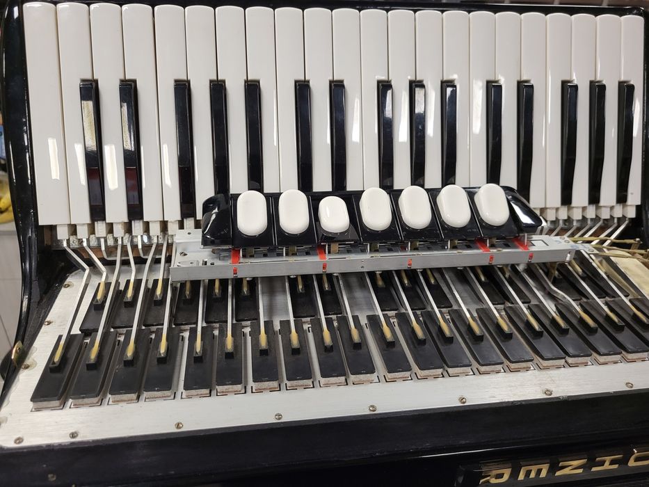 Akordeon Hohner Verdi II 96 basowy z futerałem,  RATY,  FAKTURA