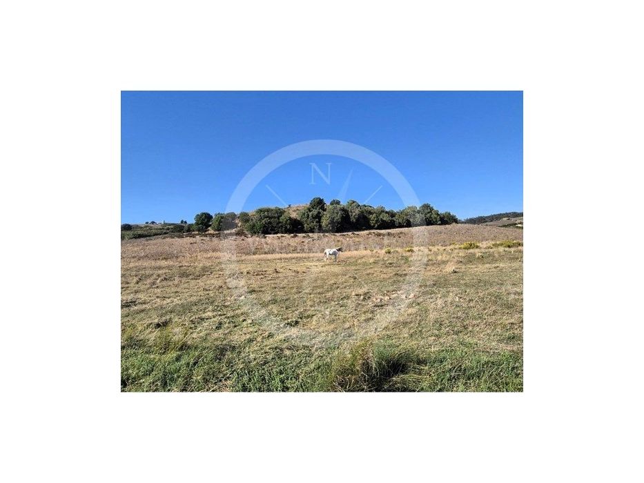 Terreno com 45.360m2 de área a 5 minutos da cidade de Torres Vedras