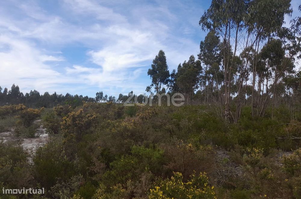Terreno Rustico com 12580m2