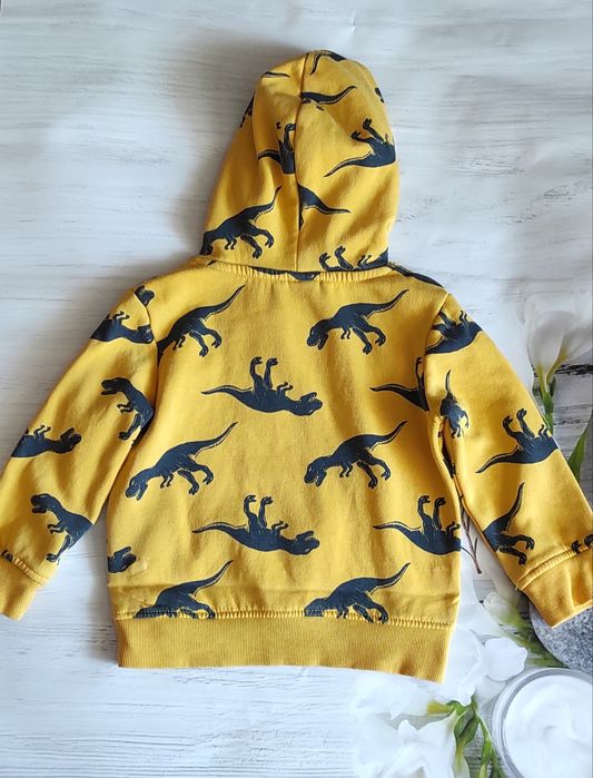 Худі, кофта, капюшонка H&M
