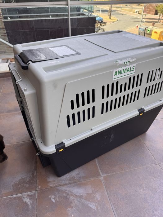 Caixa de Transporte para Cão Ferplast Atlas Professional 70 IATA