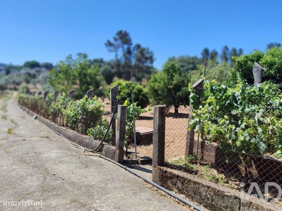 Terreno em Castelo