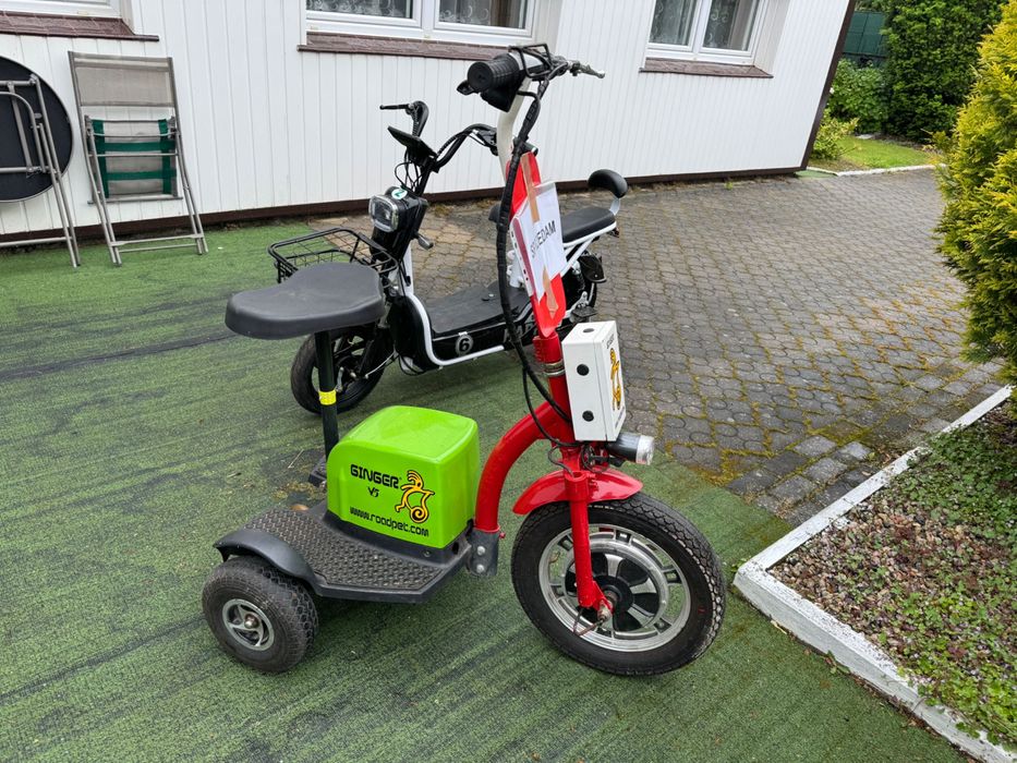 Hulajnoga skuter elektryczny  500 W Oryginalny GINGER