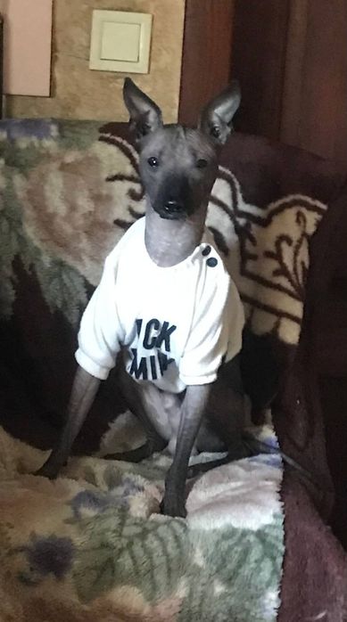 Әйелімді ұру туралы порно әңгімелер