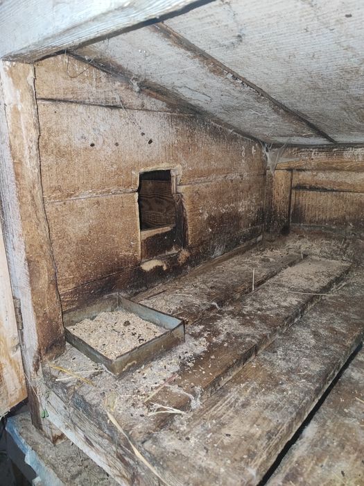 Клітка для кроликів, гризунів