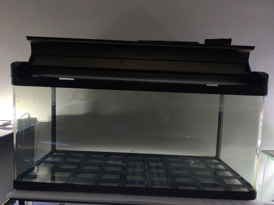 Aquário / terrário